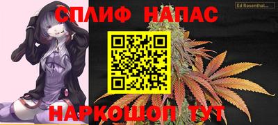 гашик Дубна