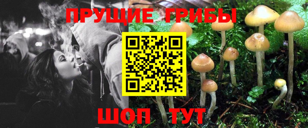 Галлюциногенные грибы MAGIC MUSHROOMS  Вход с VPN  Галлюциногенные грибы GOLDEN TEACHER  Новочебоксарск 